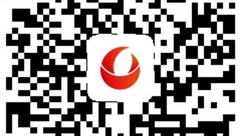 2026最新解读：唐田论人生如棋，泽卡参赛评估